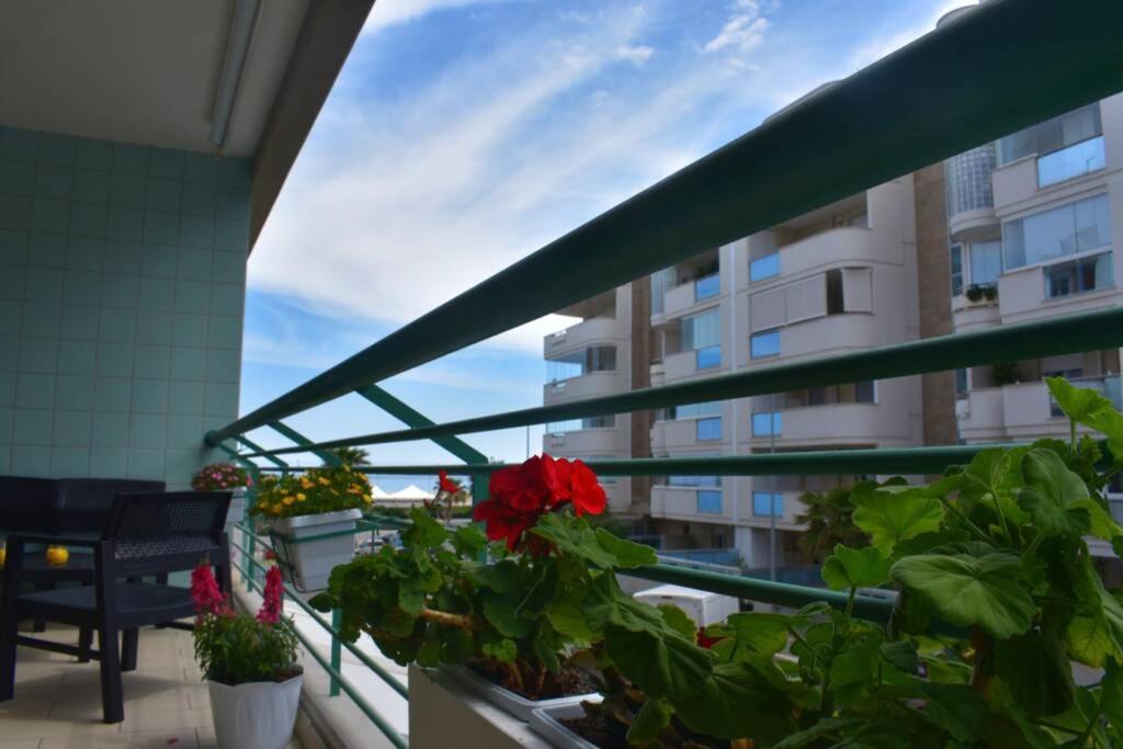 Donna Teresa Accomodation - Holiday House Monopoli Zewnętrze zdjęcie
